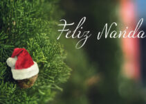 Unraveling Feliz Navidad: A Deep Dive into the Meaning and Significance